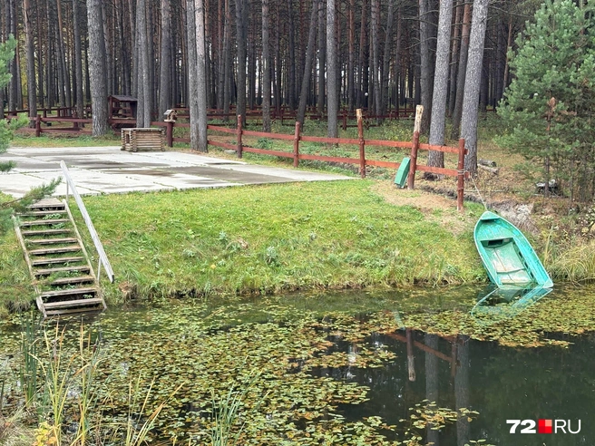 Осенний пруд с одной стороны парка. К воде есть спуск  | Источник: Мария Токмакова / 72.RU