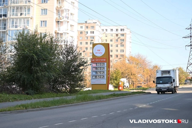 Источник: Елена Буйвол / VLADIVOSTOK1.RU