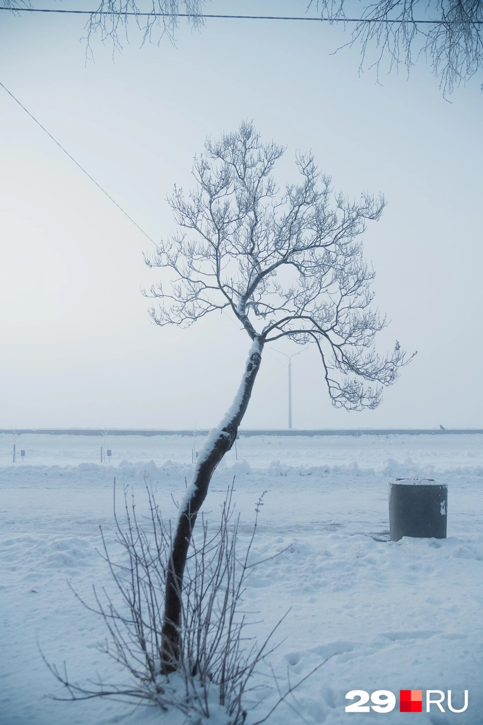 Источник: Иван Митюшёв / 29.RU