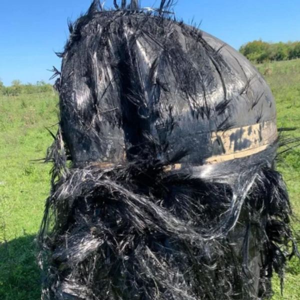 Поверхность объекта покрыта странными чёрными волокнами, напоминающими волосы | Источник: Jam Press