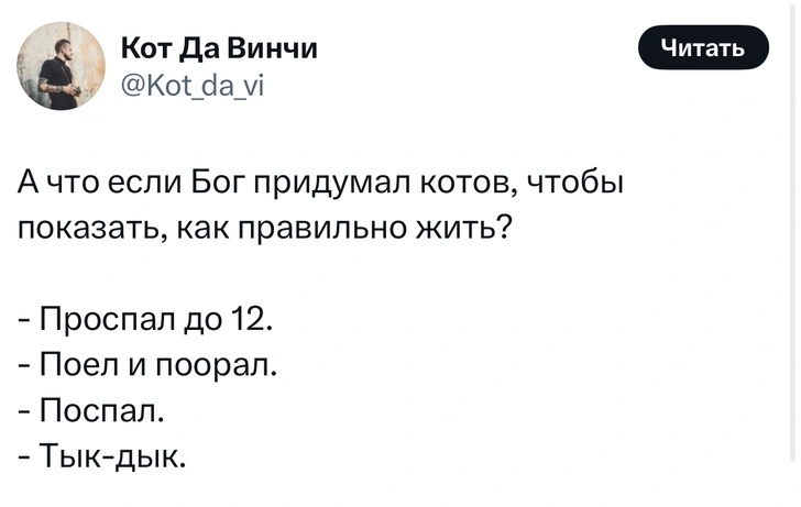 Источник: X (Twitter)