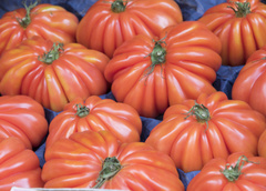 Полезные свойства томата Пузата хата
