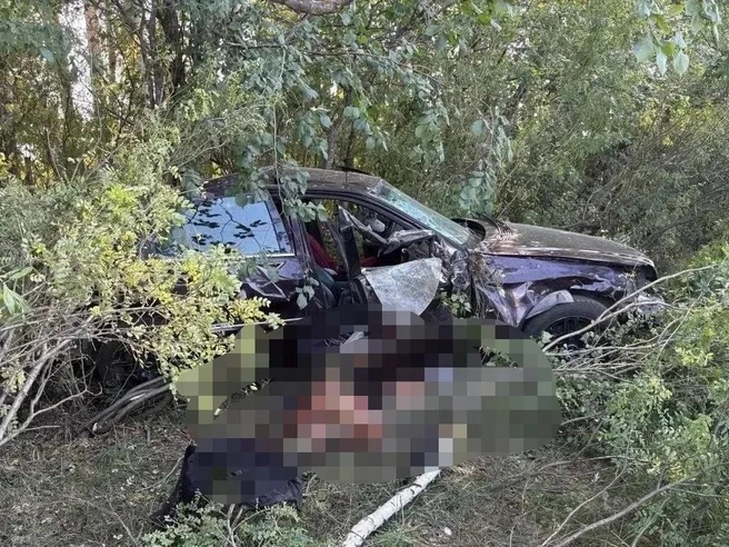 Автомобиль съехал в кювет | Источник: ГАИ Новосибирской области