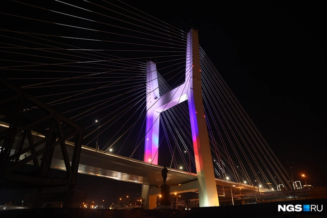 Источник: Александр Ощепков / NGS.RU