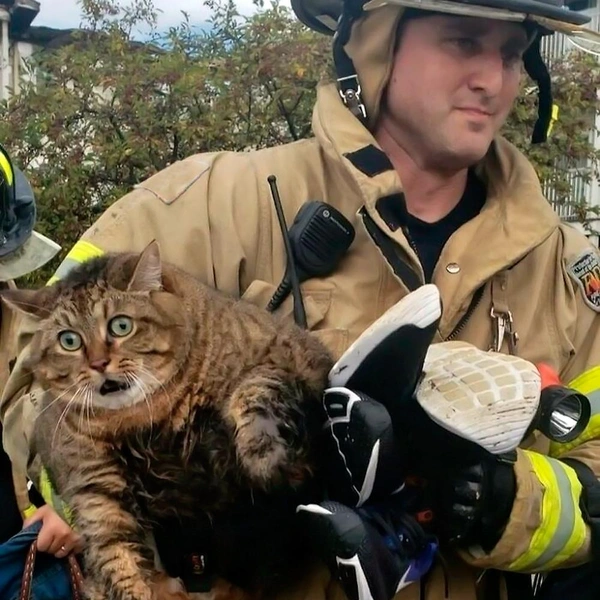 Источник: соцсети