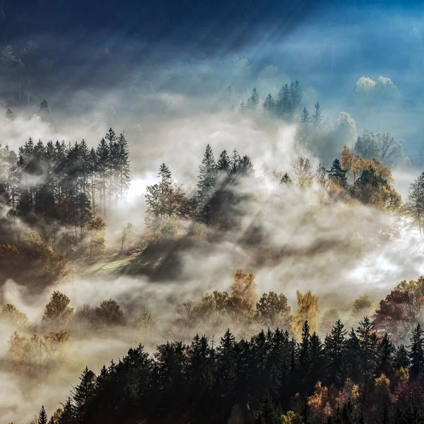 Источник: Grzegorz Truchanowicz / Fine Art Photography Awards 2025