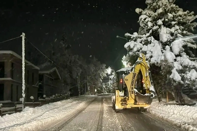 Атлантический шторм в Сочи: упавшие деревья и поврежденные ЛЭП