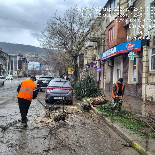 Источник: Администрация города Махачкалы