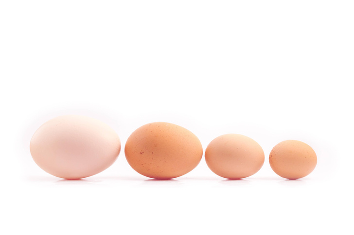 Чем отличаются яйца С1 от СО и С2?