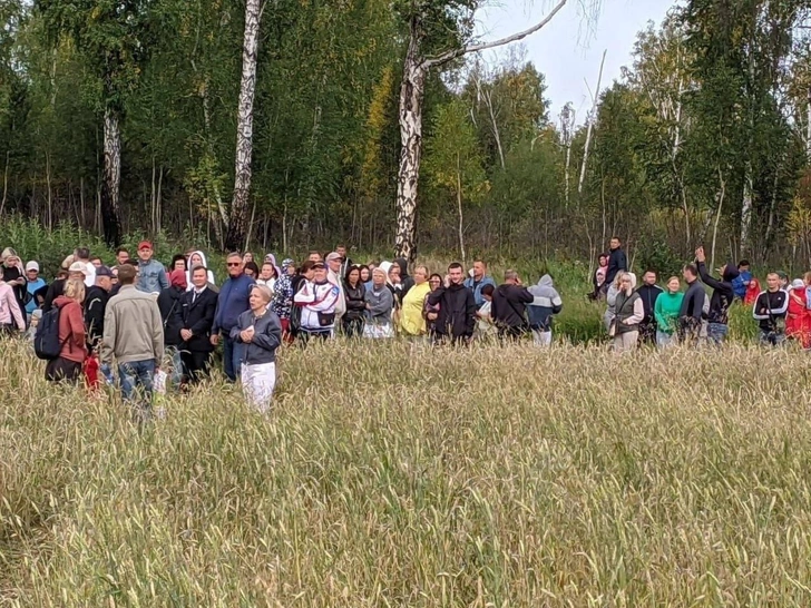 Чудо в пшеничном поле: самолет экстренно сел под Новосибирском — всё самое главное