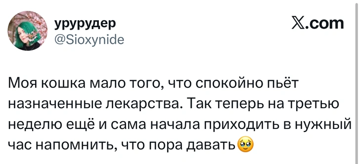 Источник: X (Twitter)