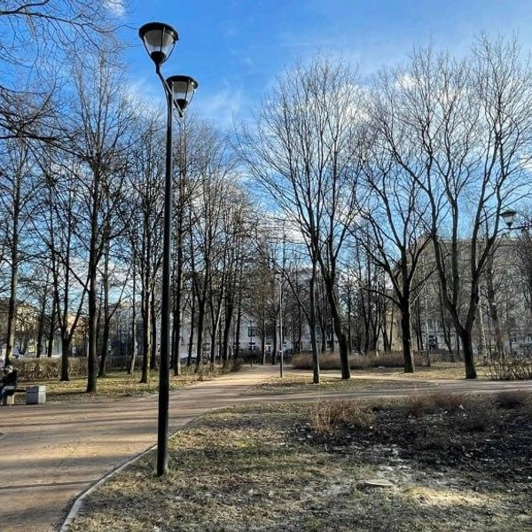 Сквер Южная роща до современного благоустройства | Источник: ЕИС «Закупки» / ООО «Орион-Проект СПб»