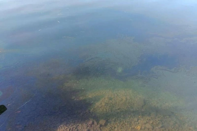 Неуловимый загрязнитель Дона: пятна мазута без виновника