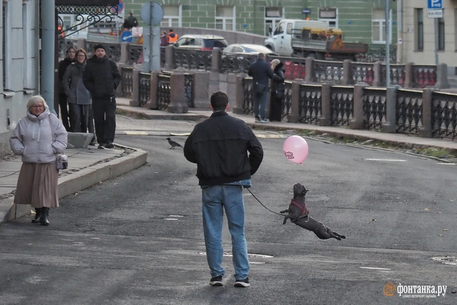 Куда пойти 24–26 октября: премьера в Александринском театре, урбанистический «Архитектон» и «растения-соблазнители» | Источник: Михаил Огнев / «Фонтанка.ру»