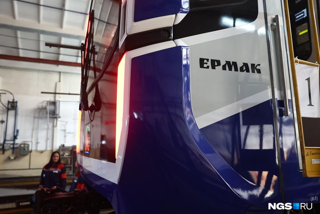 Источник: Александр Ощепков / NGS.RU