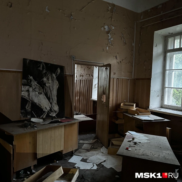 Источник: Алина Мельникова / MSK1.RU