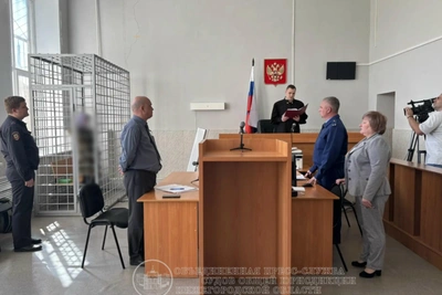 Нижегородка, зашивавшая раны детям, осуждена на 5 лет