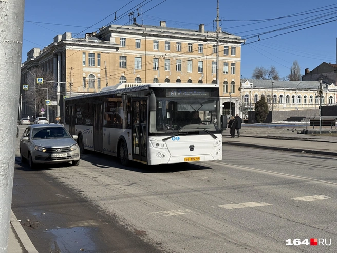 Часть автобусных маршрутов уже работают по брутто-контрактам | Источник: Сергей Петунин / 164.RU