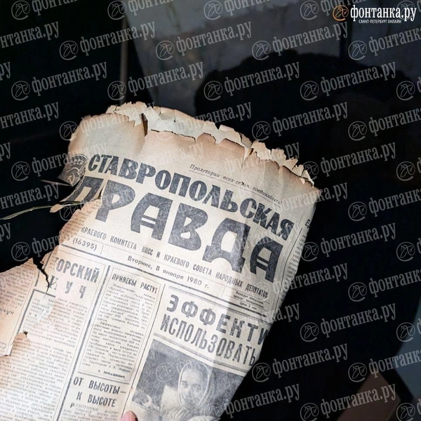 Источник: Федор Данилов / «Фонтанка.ру»