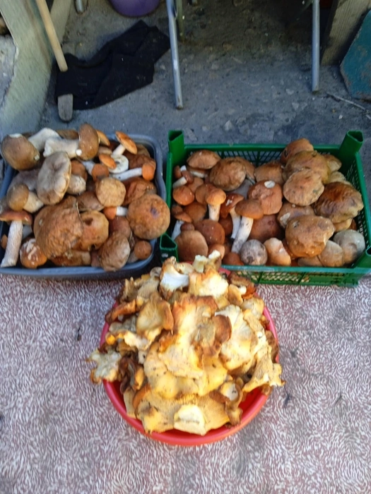 Источник: Ольга Миронова