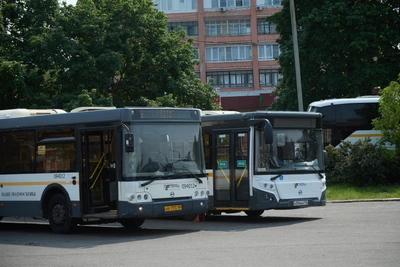 В Подмосковье запущены десятки дачных автобусных маршрутов