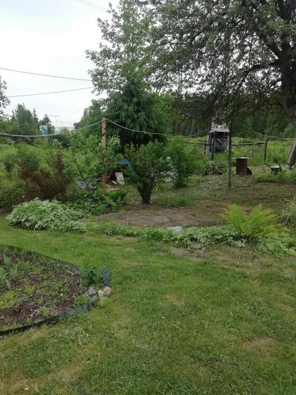 Располагается эта земля в черте Екатеринбурга | Источник: ekaterinburg.n1.ru