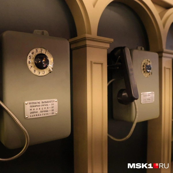 Источник: Татьяна Спиридонова / MSK1.RU