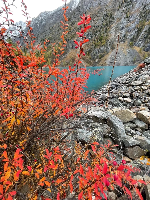 С наступлением межсезонья количество маршрутов сокращается | Источник: Вадим Резник