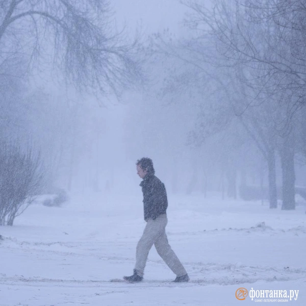 Источник: Сергей Николаев / FONTANKA.RU