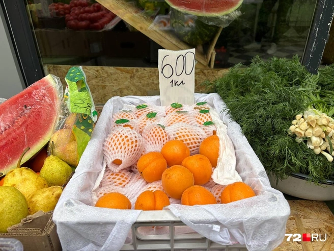 Абрикосы и персики можно купить за 500–600 рублей килограмм  | Источник: Мария Токмакова / 72.RU