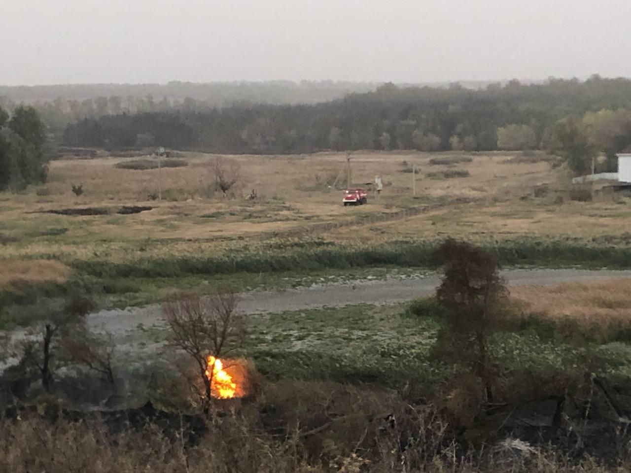 На Дону потушили полыхающий больше суток лесной пожар. Он охватил больше 2 миллионов квадратов