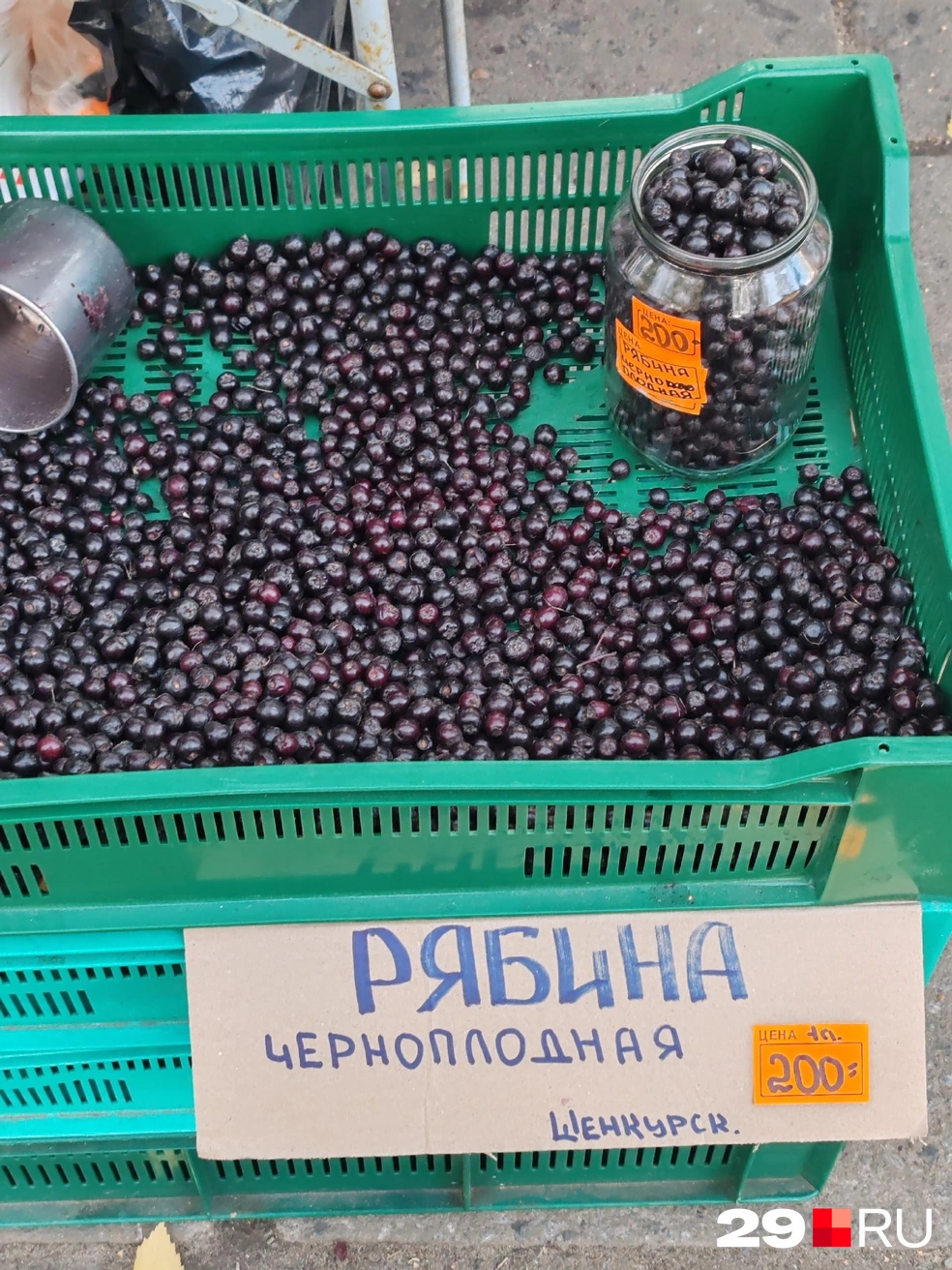 Источник: читательница 29.RU