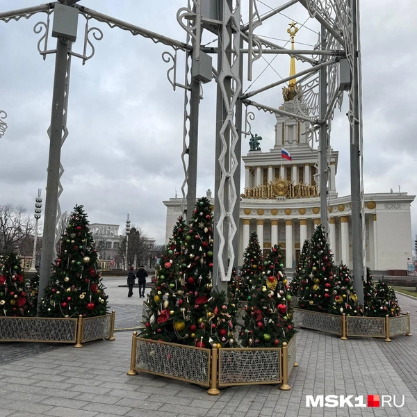 Источник: Артем Устюжанин / MSK1.RU