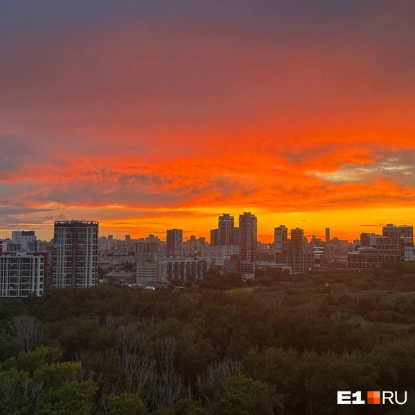 Источник: читатель E1.RU