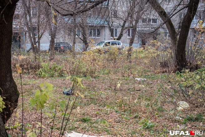 В квартале расположены две школы и четыре детских сада | Источник: Булат Салихов / UFA1.RU