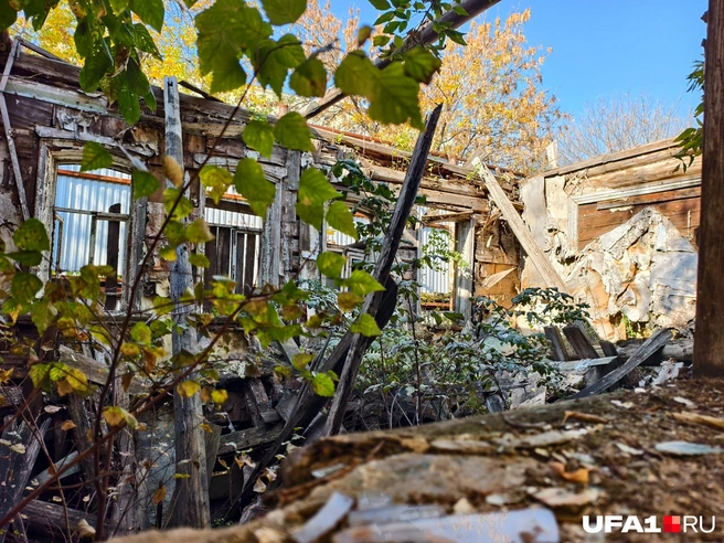 Жизнь можно найти только с микроскопом | Источник: Булат Салихов / UFA1.RU