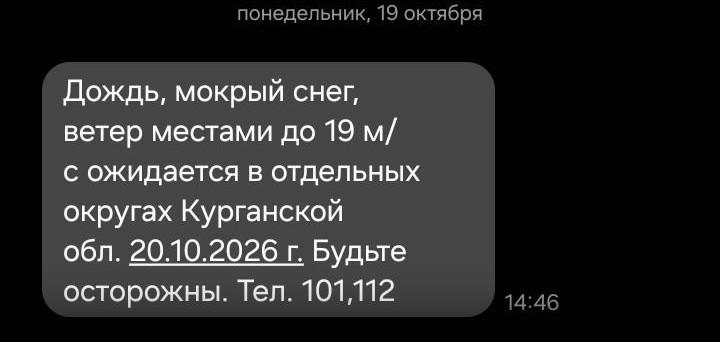 Мокрый снег и штормовой ветер: зауральцев предупредили об ухудшении погоды 20 октября