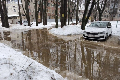 Воронежцы жалуются на засыпанную ливневку у дома на Беговой