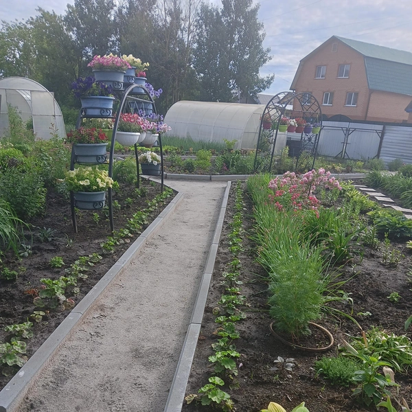 Источник: предоставлено участником конкурса
