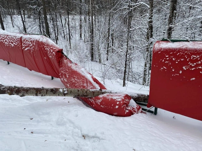 Источник: ГАУ ДО «СШ „Чайка“» / T.me