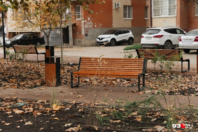 На кадрах&nbsp;— система автополива и высохший кустарник | Источник: Дарья Паращенко / 93.RU