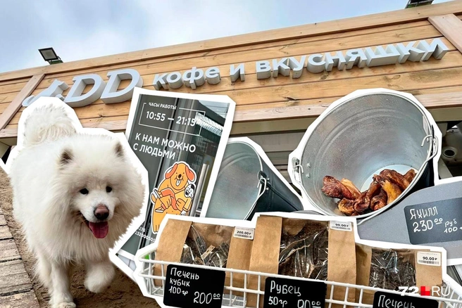 Здесь есть еда для собак и кофе для людей | Источник: Дмитрий Гладышев / Городские медиа