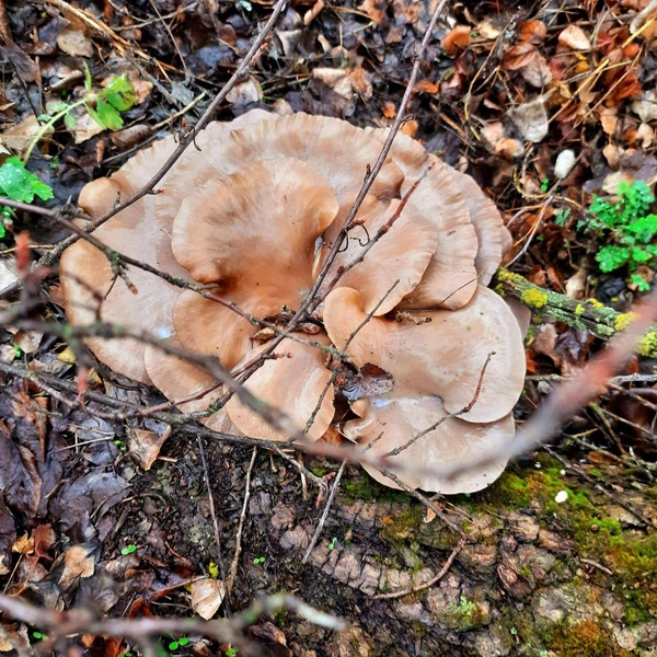 Источник: читатели V1.RU