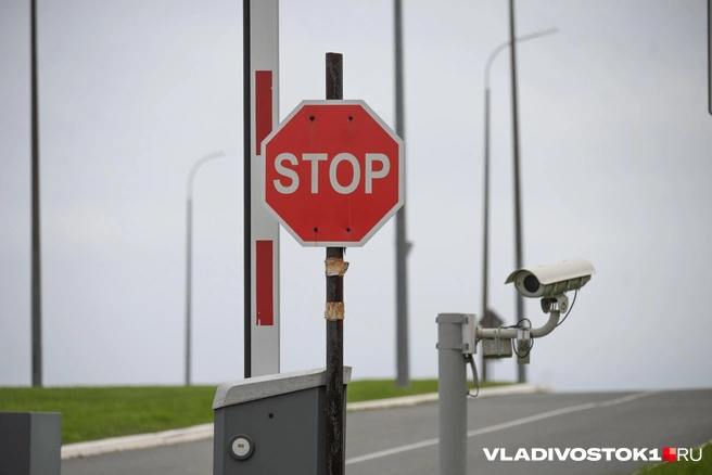 Мэр города рассказал, для чего это надо | Источник: Елена Буйвол / VLADIVOSTOK1.RU