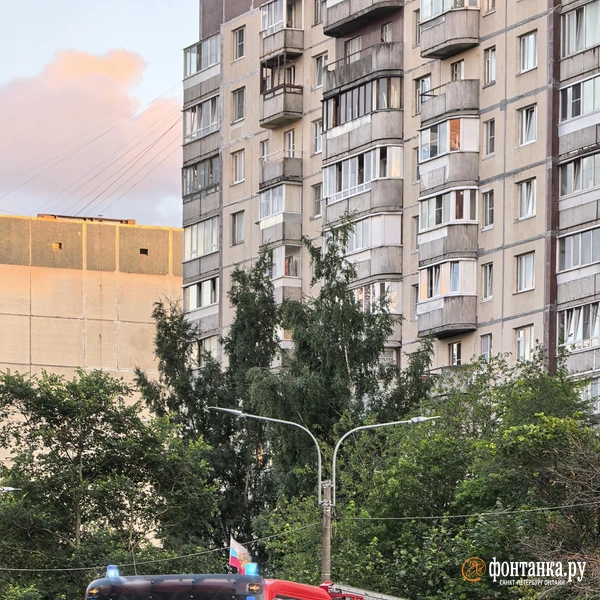 Источник: читатель «Фонтанки»