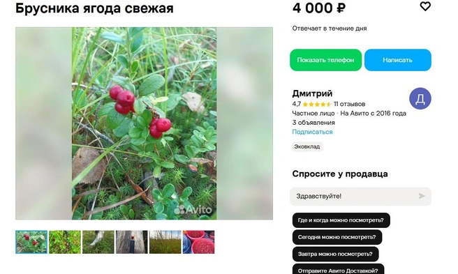 Обратите внимание: цена указана за 10 литров ягод. Продавец продает именно столько сразу, собирает на заказ | Источник: сайт бесплатных объявлений