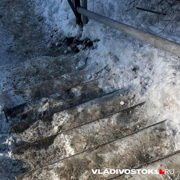 Источник: Елена Буйвол / VLADIVOSTOK1.RU