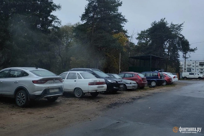 Источник: читательница «Фонтанки»