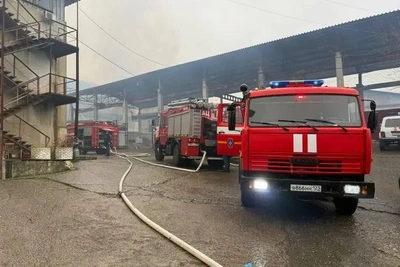 Бастрыкин поручил ускорить расследование смерти в сочинском пожаре