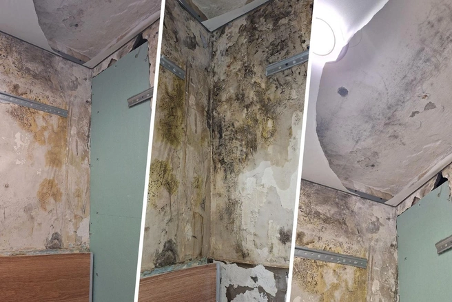 Последствия протечки на стенах в одной из квартир жилого дома | Источник: читатель 72.RU, Дмитрий Гладышев / Городские порталы